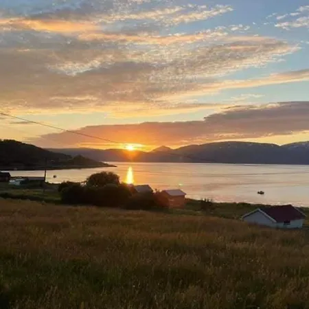 Jovika In The Heart Of Mallangen * Jovik